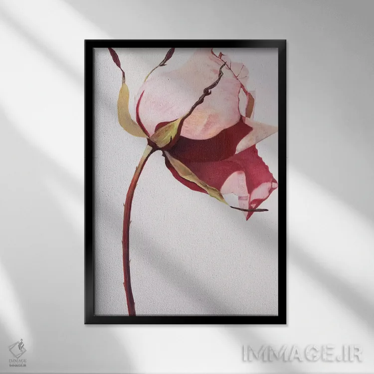 تابلو دکوراتیو عشق یک گل رز است ۱ اثر لیندا استلینگ - نمای قابدار مشکی