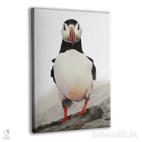 تابلو دکوراتیو "پافین " اثر لیزا لنون - نمای پرسپکتیو محصول