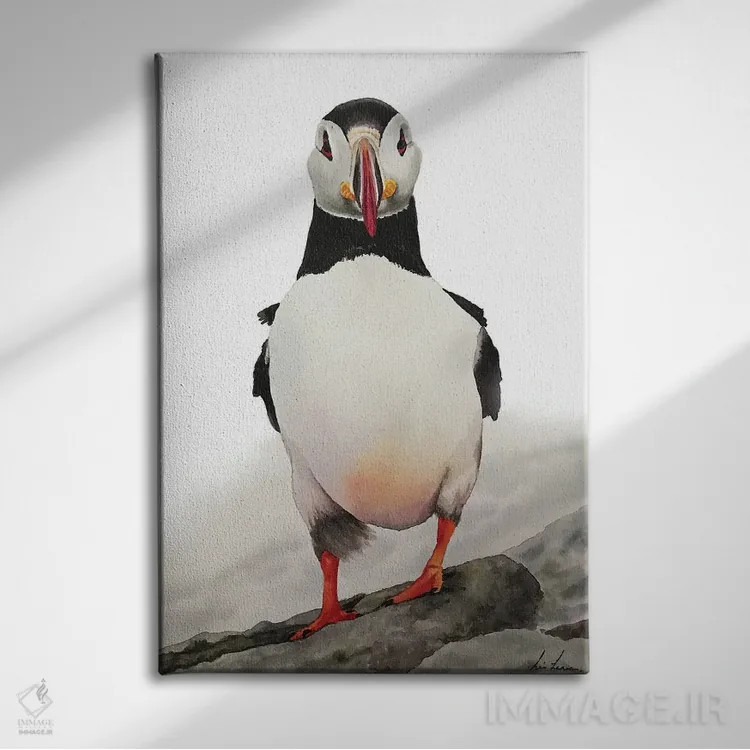 تابلو دکوراتیو "پافین " اثر لیزا لنون - نمای روبهرو روی دیوار