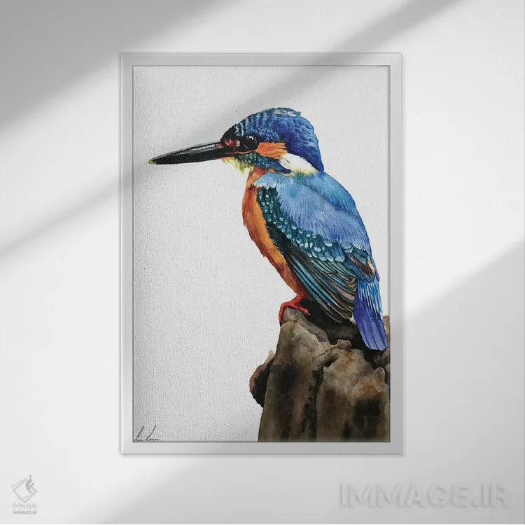 تابلو دکوراتیو "کتک" اثر لیزا لنون - نمای قابدار سفید