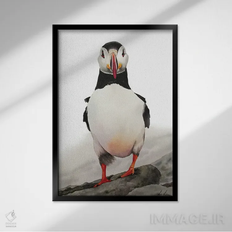 تابلو دکوراتیو "پافین " اثر لیزا لنون - نمای قابدار مشکی