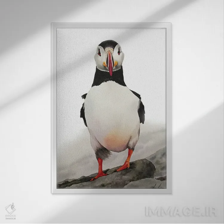 تابلو دکوراتیو "پافین " اثر لیزا لنون - نمای قابدار سفید