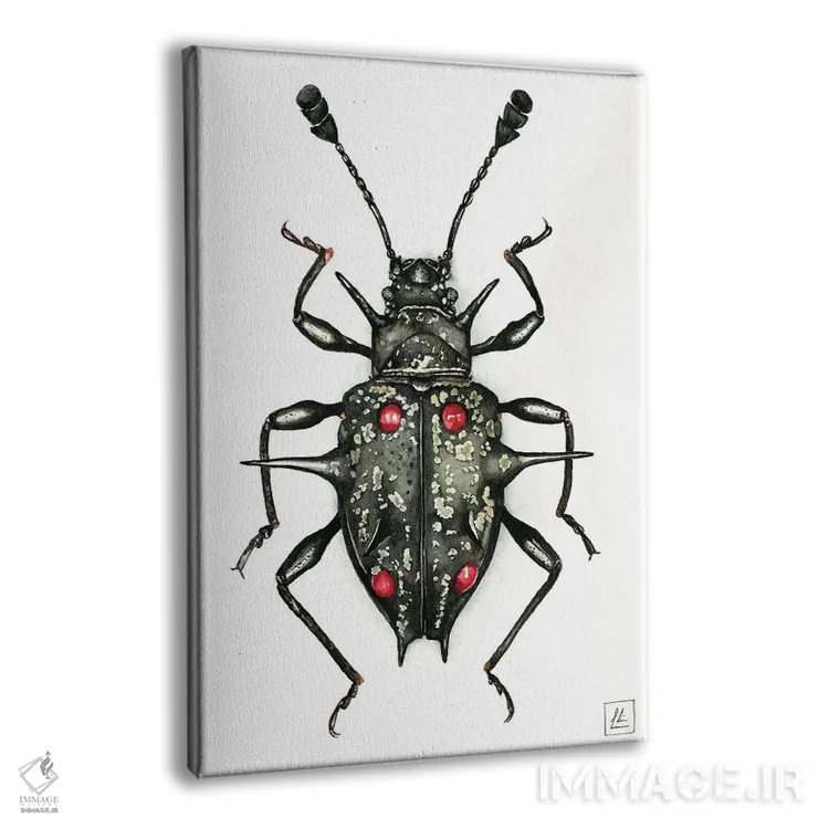 تابلو دکوراتیو "حشره سیاه" اثر لیزا لنون - نمای پرسپکتیو محصول