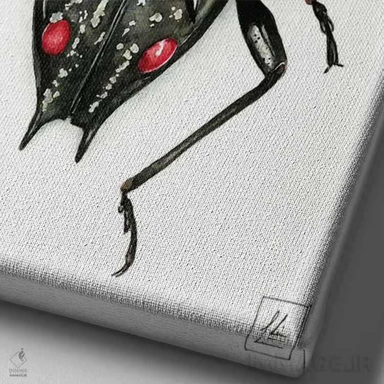 تابلو دکوراتیو "حشره سیاه" اثر لیزا لنون - نمای نزدیک بافت بوم