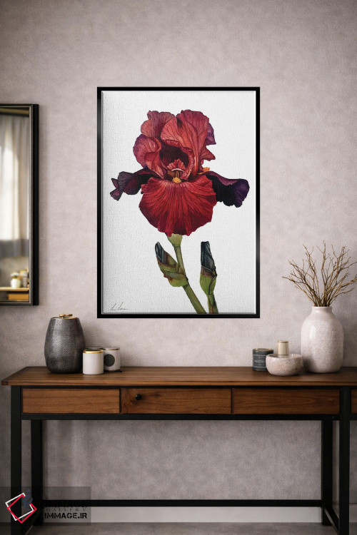 تابلو دکوراتیو "زنبق قرمز" اثر لیزا لنون - D2B