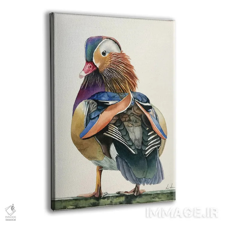 تابلو دکوراتیو "اردک ماندارین" اثر لیزا لنون - نمای پرسپکتیو محصول