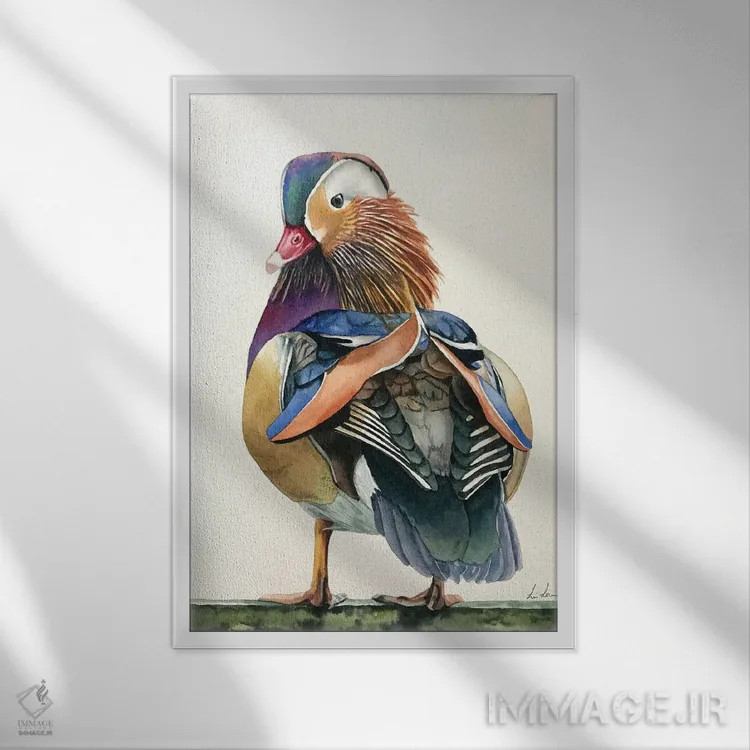 تابلو دکوراتیو "اردک ماندارین" اثر لیزا لنون - نمای قابدار سفید