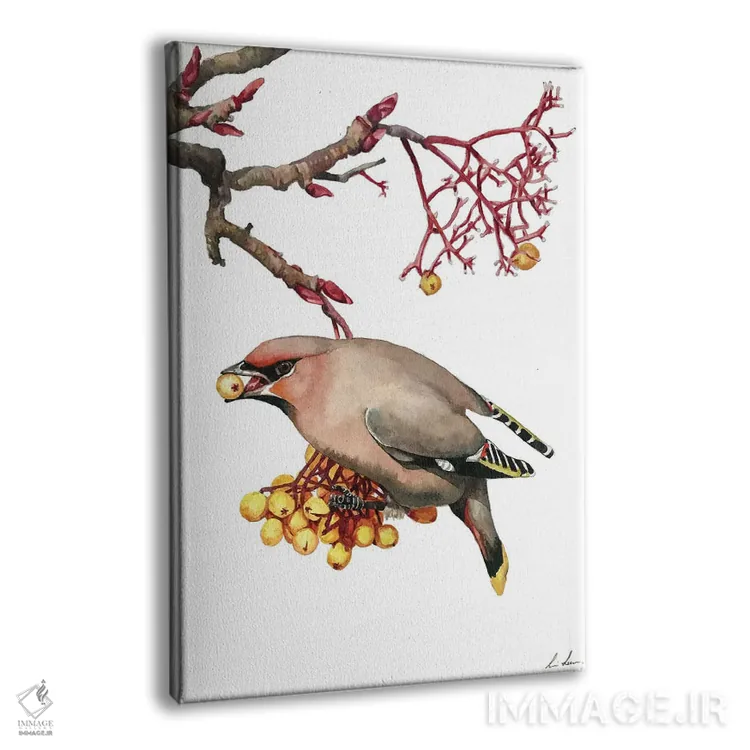 تابلو دکوراتیو "مگس خوار شمعی" اثر لیزا لنون - نمای پرسپکتیو محصول