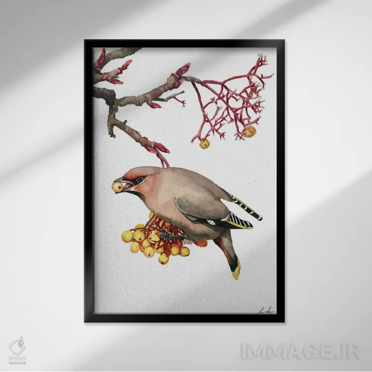 تابلو دکوراتیو "مگس خوار شمعی" اثر لیزا لنون - نمای قابدار مشکی