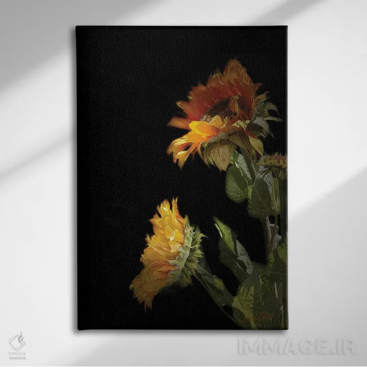 تابلو دکوراتیو "گل آفتابگردان سیاه" اثر لیندا اولسن - نمای روبهرو روی دیوار