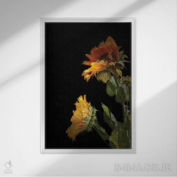 تابلو دکوراتیو "گل آفتابگردان سیاه" اثر لیندا اولسن - نمای قابدار سفید