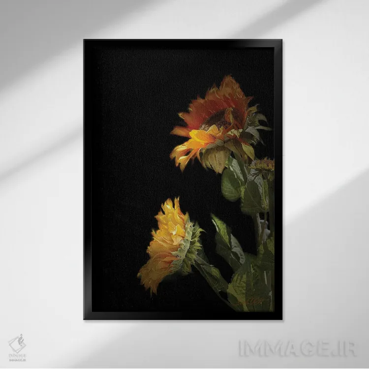 تابلو دکوراتیو "گل آفتابگردان سیاه" اثر لیندا اولسن - نمای قابدار مشکی
