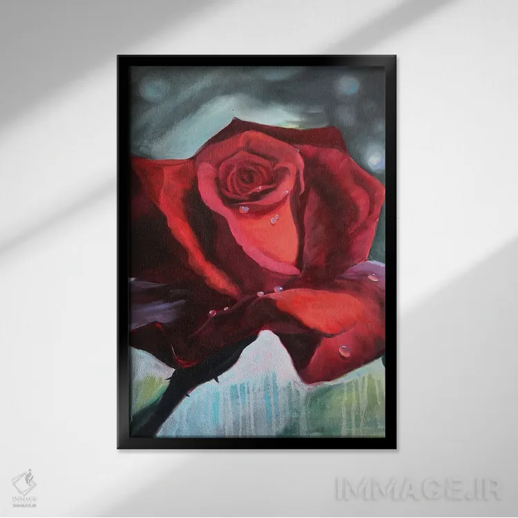 تابلو دکوراتیو گل رز قرمز با قطرات شبنم روی گلبرگ ها اثر جین لانتسمن - نمای قابدار مشکی