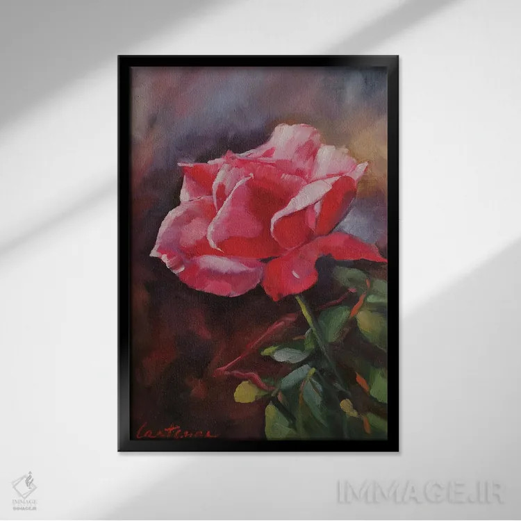 تابلو دکوراتیو گل رز صورتی اثر جین لانتسمن - نمای قابدار مشکی