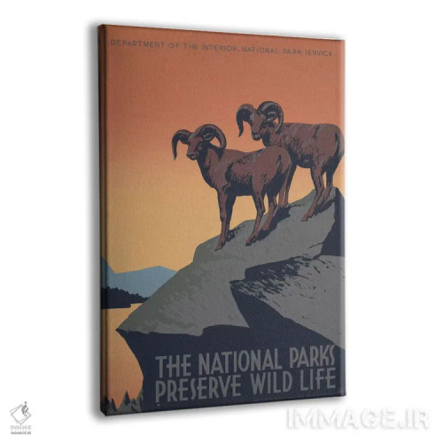 تابلو مدرن "پارک های ملی، حافظ حیات وحش" اثر کتابخانه کنگره - نمای پرسپکتیو محصول
