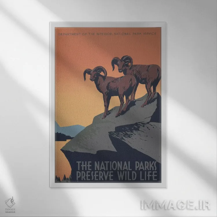 تابلو مدرن "پارک های ملی، حافظ حیات وحش" اثر کتابخانه کنگره - نمای قابدار سفید