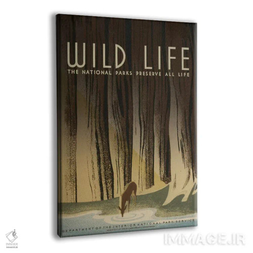 تابلو مدرن "حیات وحش" اثر کتابخانه کنگره - نمای پرسپکتیو محصول
