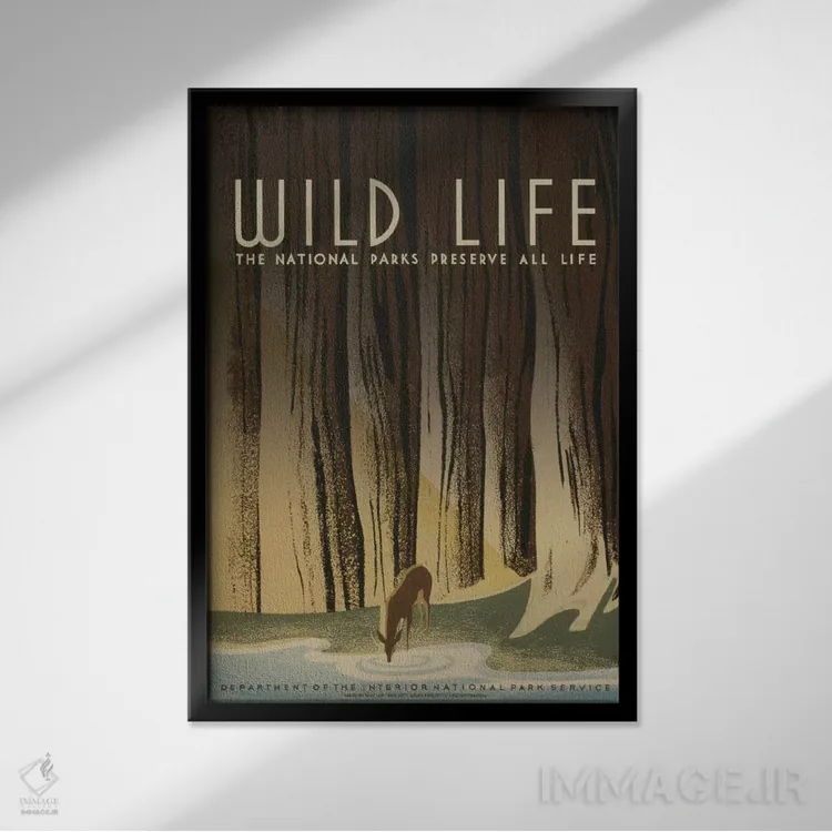 تابلو مدرن "حیات وحش" اثر کتابخانه کنگره - نمای قابدار مشکی