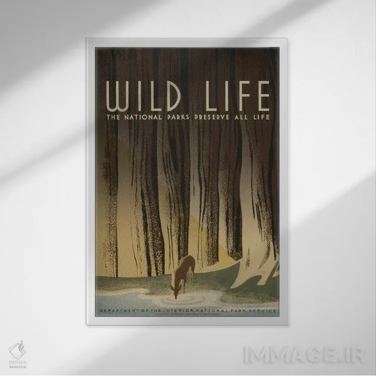 تابلو مدرن "حیات وحش" اثر کتابخانه کنگره - نمای قابدار سفید