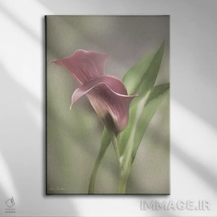 تابلو دکوراتیو گل کالای صورتی اثر لری دیتر - نمای روبهرو روی دیوار