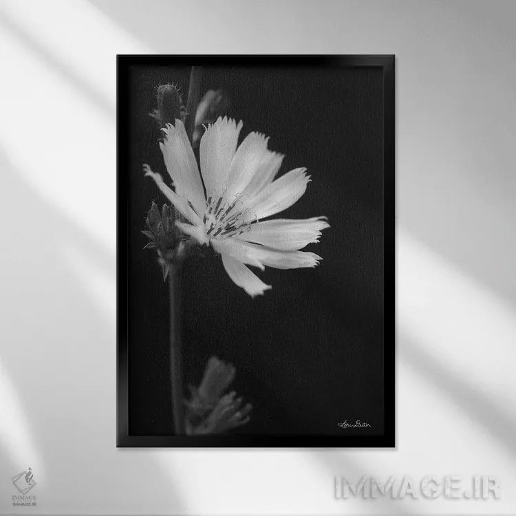 تابلو دکوراتیو آرزوهای گلبرگی اثر لری دیتر - نمای قابدار مشکی