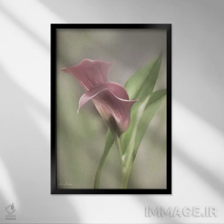 تابلو دکوراتیو گل کالای صورتی اثر لری دیتر - نمای قابدار مشکی
