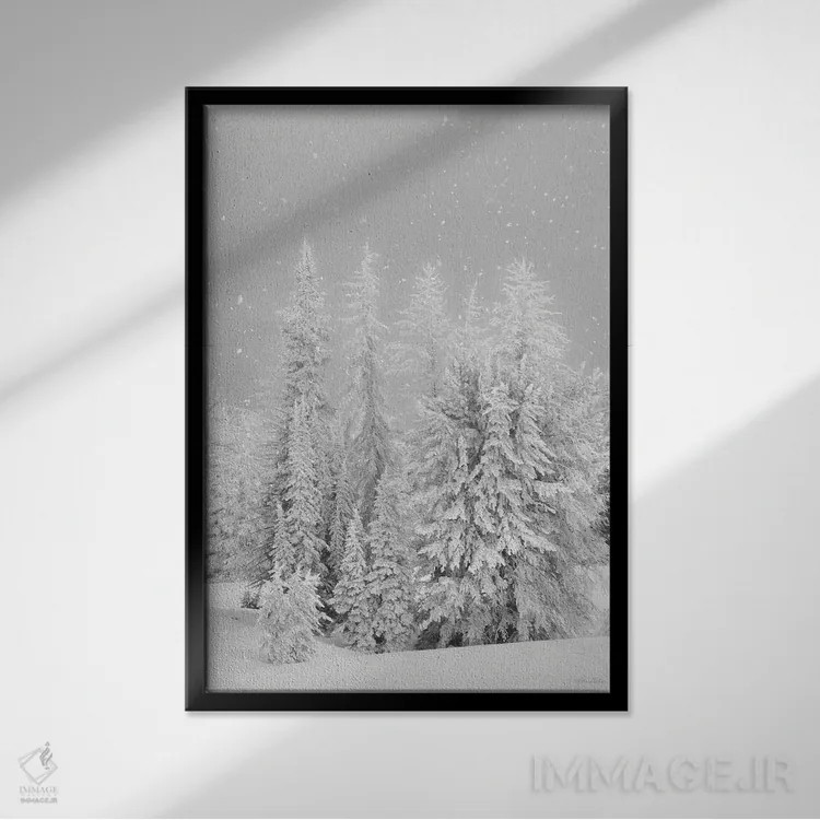 تابلو دکوراتیو کوه آتشفشان پوشیده از برف اثر لری دیتر - نمای قابدار مشکی