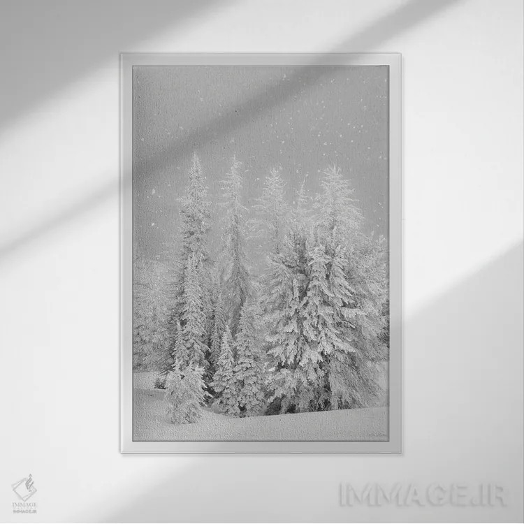 تابلو دکوراتیو کوه آتشفشان پوشیده از برف اثر لری دیتر - نمای قابدار سفید