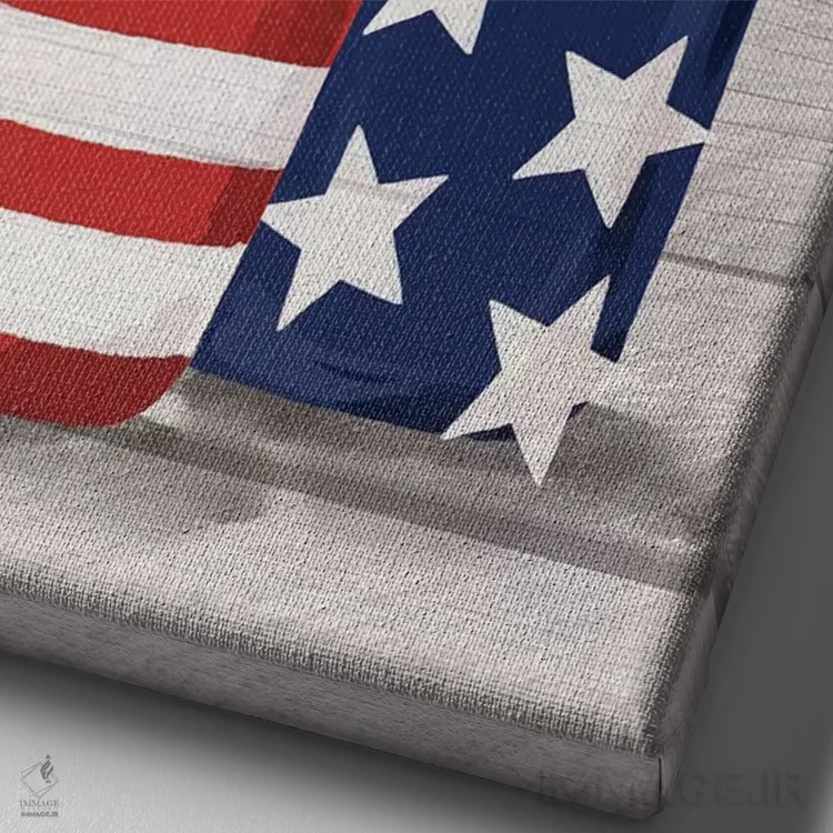 تابلو دکوراتیو "چهارم جولای در مزرعه ۳" اثر لونی هریس - نمای نزدیک بافت بوم