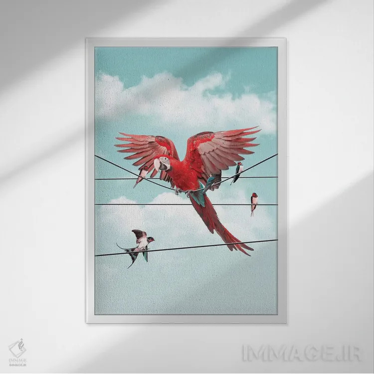 تابلو دکوراتیو "غریبه رنگارنگ" اثر یوناس لوس - نمای قابدار سفید