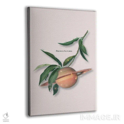 تابلو دکوراتیو "میوه زحل" اثر یوناس لوس - نمای پرسپکتیو محصول