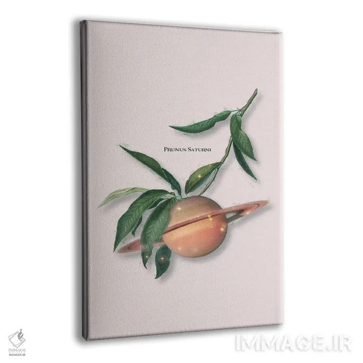 تابلو دکوراتیو "میوه زحل" اثر یوناس لوس - نمای پرسپکتیو محصول