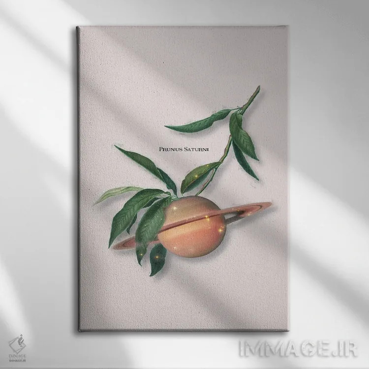 تابلو دکوراتیو "میوه زحل" اثر یوناس لوس - نمای روبهرو روی دیوار
