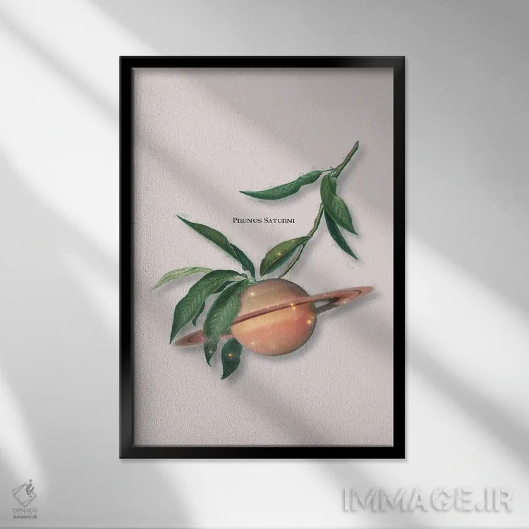 تابلو دکوراتیو "میوه زحل" اثر یوناس لوس - نمای قابدار مشکی