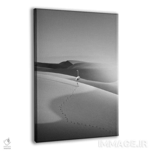 تابلو دکوراتیو "فلامینگو در بیابان" اثر یوناس لوس - نمای پرسپکتیو محصول