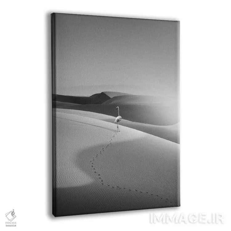 تابلو دکوراتیو "فلامینگو در بیابان" اثر یوناس لوس - نمای پرسپکتیو محصول