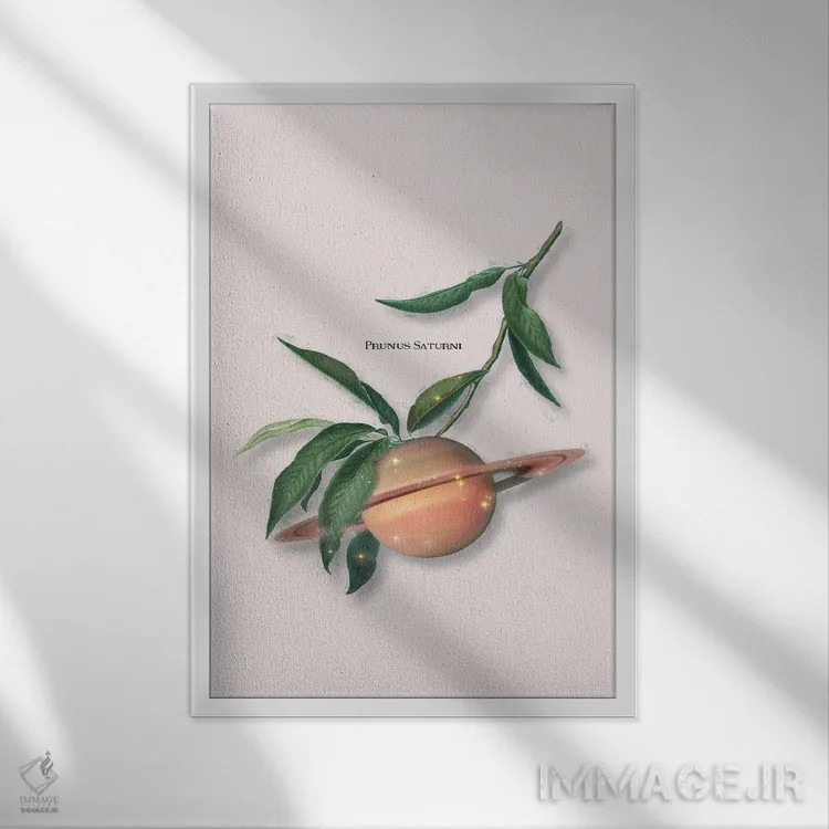 تابلو دکوراتیو "میوه زحل" اثر یوناس لوس - نمای قابدار سفید