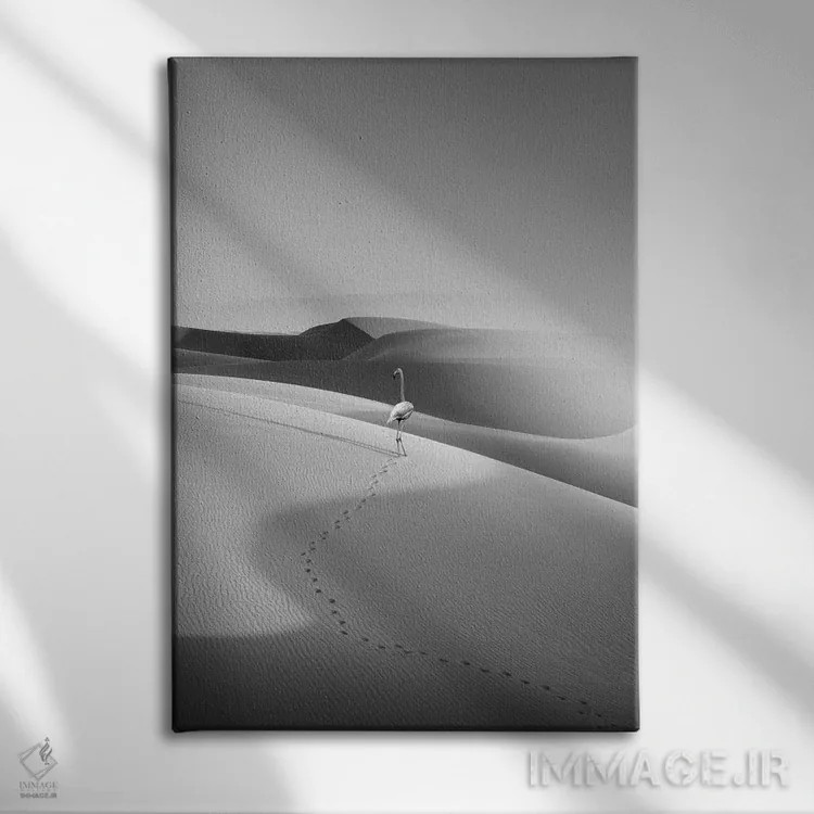 تابلو دکوراتیو "فلامینگو در بیابان" اثر یوناس لوس - نمای روبهرو روی دیوار