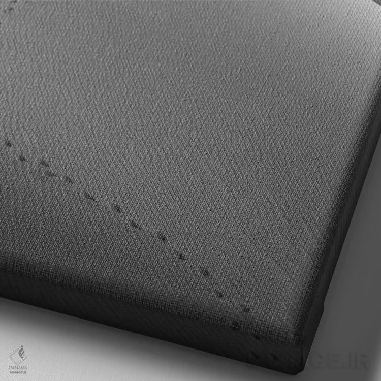 تابلو دکوراتیو "فلامینگو در بیابان" اثر یوناس لوس - نمای نزدیک بافت بوم