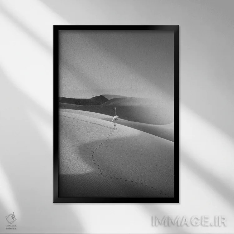 تابلو دکوراتیو "فلامینگو در بیابان" اثر یوناس لوس - نمای قابدار مشکی