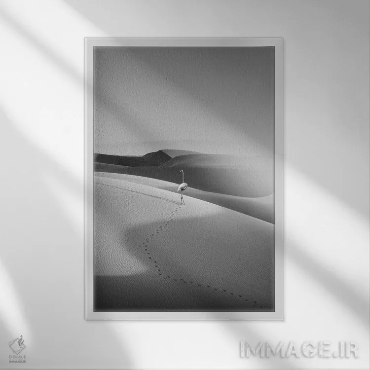 تابلو دکوراتیو "فلامینگو در بیابان" اثر یوناس لوس - نمای قابدار سفید