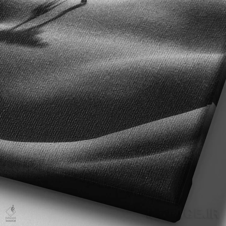 تابلو دکوراتیو "کلیمانجارو" اثر یوناس لوس - نمای نزدیک بافت بوم