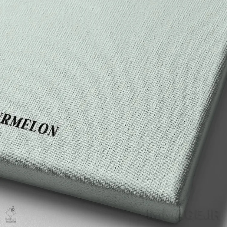 تابلو دکوراتیو "ترملون " اثر یوناس لوس - نمای نزدیک بافت بوم