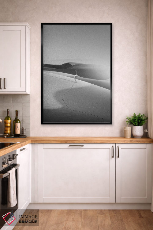 تابلو دکوراتیو "فلامینگو در بیابان" اثر یوناس لوس - D3B