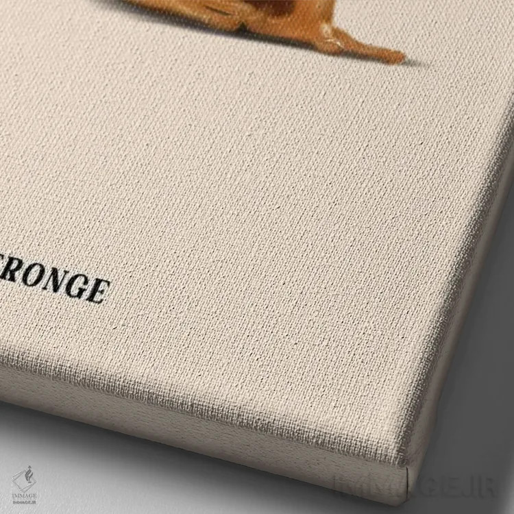 تابلو دکوراتیو "فرونج " اثر یوناس لوس - نمای نزدیک بافت بوم