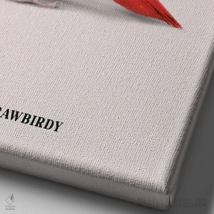 تابلو دکوراتیو "پرنده کاهی" اثر یوناس لوس - نمای نزدیک بافت بوم