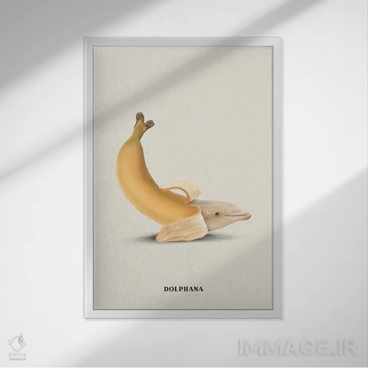 تابلو دکوراتیو "دولفانا " اثر یوناس لوس - نمای قابدار سفید