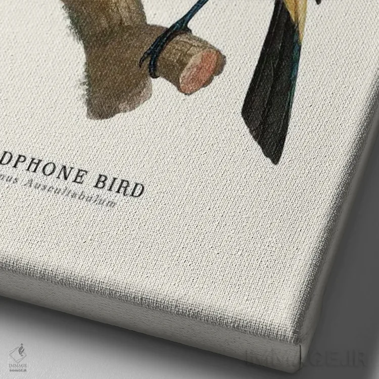 تابلو دکوراتیو "پرنده هدفون" اثر یوناس لوس - نمای نزدیک بافت بوم