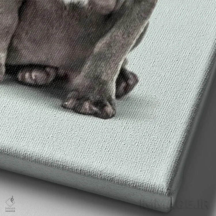 تابلو دکوراتیو "سگ مد" اثر یوناس لوس - نمای نزدیک بافت بوم