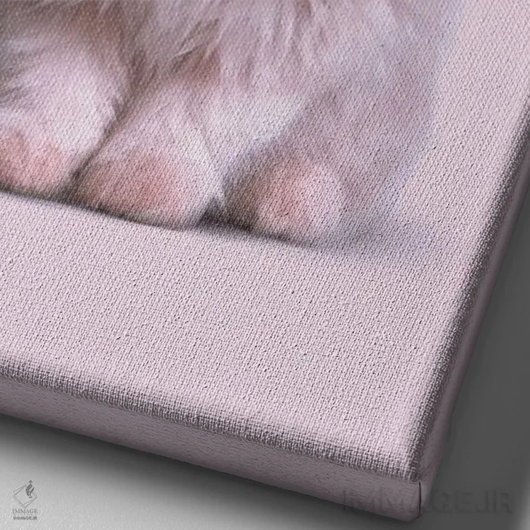 تابلو دکوراتیو "گربه مد" اثر یوناس لوس - نمای نزدیک بافت بوم